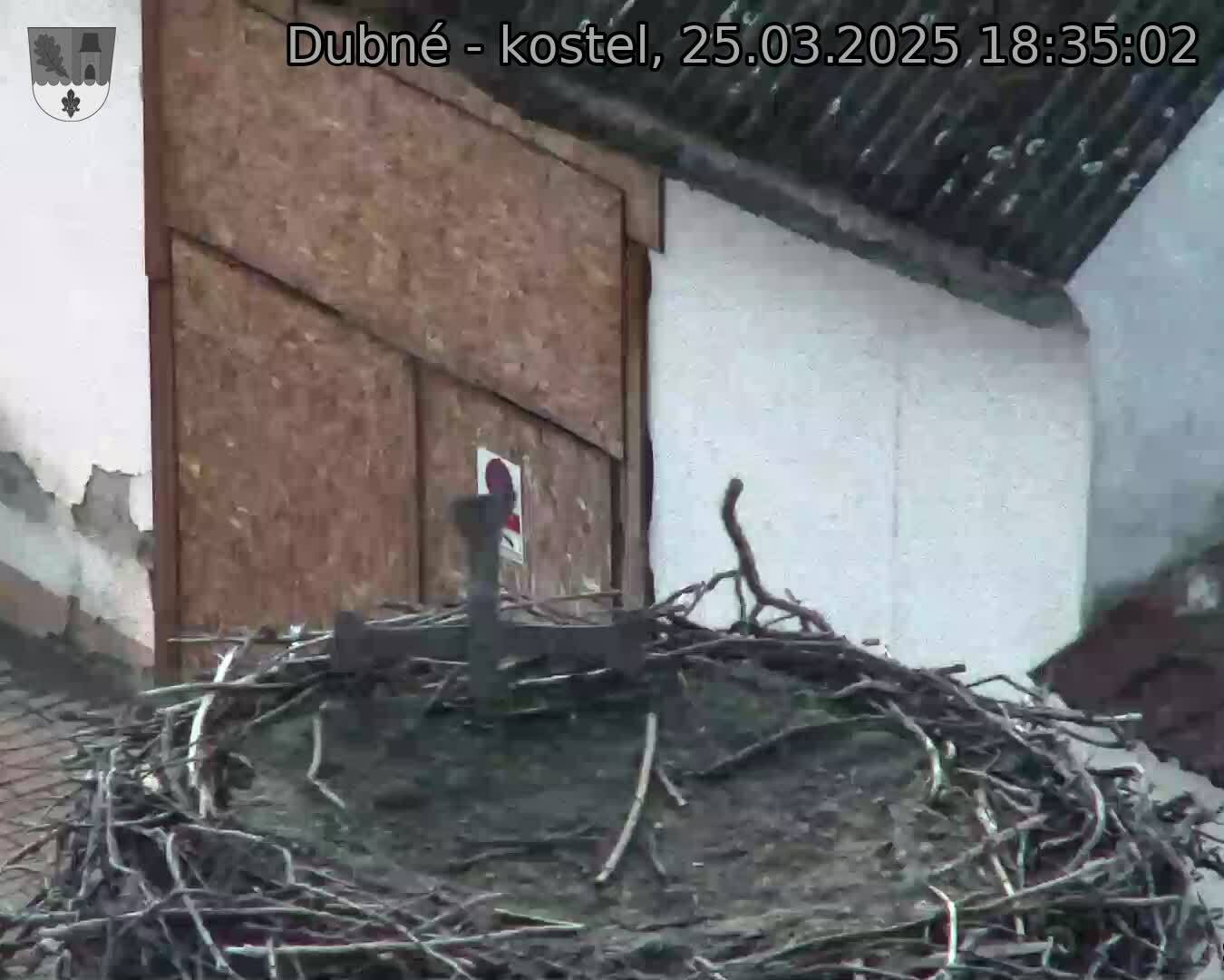 Capi_Dubne_20250325_183502.jpg (1350 x 1080)