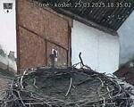 Capi_Dubne_20250325_183502.jpg