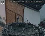 Capi_Dubne_20250325_184003.jpg