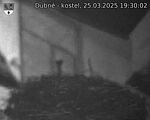 Capi_Dubne_20250325_193002.jpg