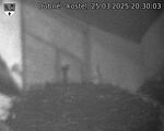Capi_Dubne_20250325_203003.jpg