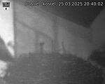 Capi_Dubne_20250325_204002.jpg