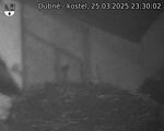 Capi_Dubne_20250325_233002.jpg