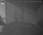 Capi_Dubne_20250326_015502.jpg