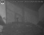Capi_Dubne_20250326_035502.jpg