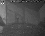 Capi_Dubne_20250326_040003.jpg