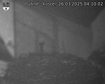 Capi_Dubne_20250326_041002.jpg