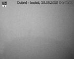 Capi_Dubne_20250326_044003.jpg