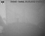 Capi_Dubne_20250326_045503.jpg