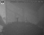 Capi_Dubne_20250326_050002.jpg