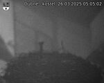 Capi_Dubne_20250326_050502.jpg