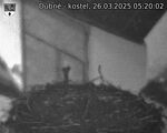 Capi_Dubne_20250326_052002.jpg