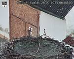Capi_Dubne_20250326_060003.jpg