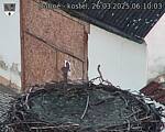 Capi_Dubne_20250326_061003.jpg