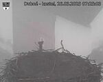Capi_Dubne_20250326_072503.jpg