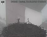 Capi_Dubne_20250326_073502.jpg