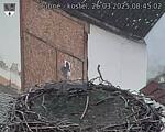 Capi_Dubne_20250326_084502.jpg