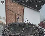 Capi_Dubne_20250326_091502.jpg