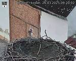 Capi_Dubne_20250326_092002.jpg