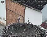 Capi_Dubne_20250326_093504.jpg