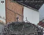 Capi_Dubne_20250326_094503.jpg