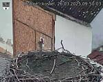 Capi_Dubne_20250326_095003.jpg