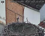 Capi_Dubne_20250326_100504.jpg