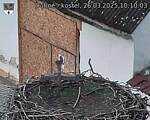 Capi_Dubne_20250326_101003.jpg