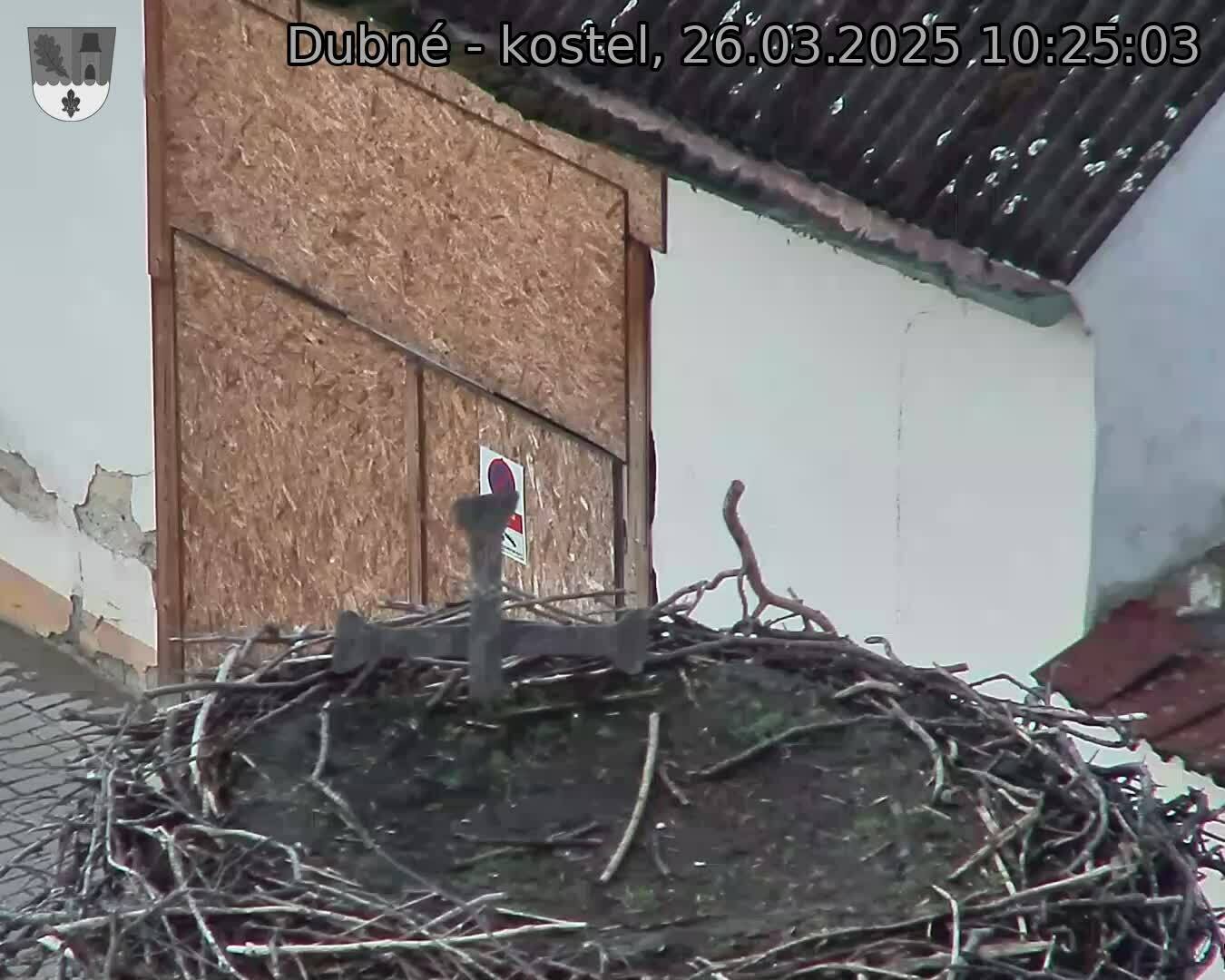 Capi_Dubne_20250326_102503.jpg (1350 x 1080)