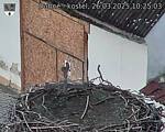 Capi_Dubne_20250326_102503.jpg
