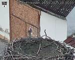 Capi_Dubne_20250326_103503.jpg
