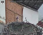 Capi_Dubne_20250326_104003.jpg