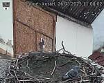 Capi_Dubne_20250326_110002.jpg