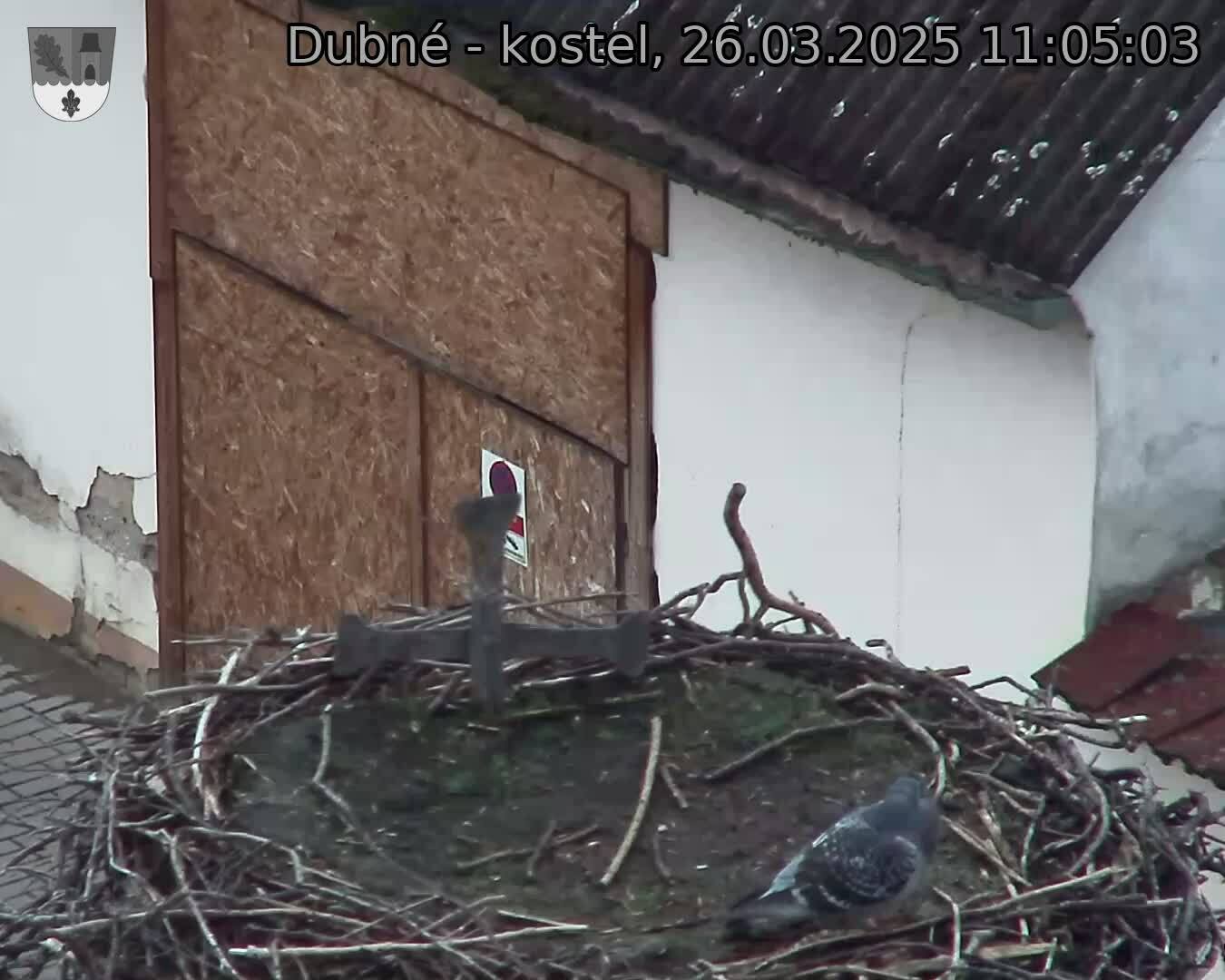Capi_Dubne_20250326_110503.jpg (1350 x 1080)