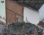 Capi_Dubne_20250326_111002.jpg