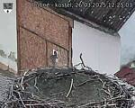 Capi_Dubne_20250326_122503.jpg