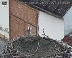 Capi_Dubne_20250326_130504.jpg