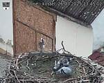 Capi_Dubne_20250326_134502.jpg