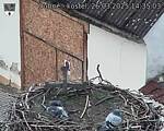 Capi_Dubne_20250326_143503.jpg