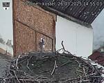 Capi_Dubne_20250326_145503.jpg