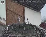 Capi_Dubne_20250326_150002.jpg