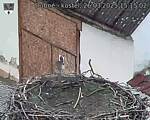 Capi_Dubne_20250326_151502.jpg