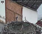 Capi_Dubne_20250326_160003.jpg