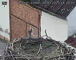 Capi_Dubne_20250326_163003.jpg