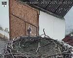 Capi_Dubne_20250326_164003.jpg