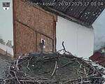 Capi_Dubne_20250326_170004.jpg