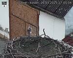 Capi_Dubne_20250326_170504.jpg