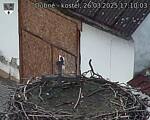 Capi_Dubne_20250326_171003.jpg