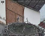 Capi_Dubne_20250326_180504.jpg