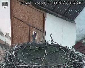 Capi_Dubne_20250326_182502.jpg (1350 x 1080)